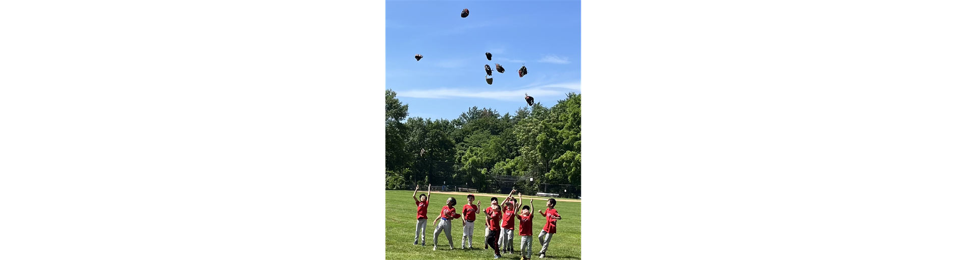 Briarcliff Little League 2025 AA Champs!